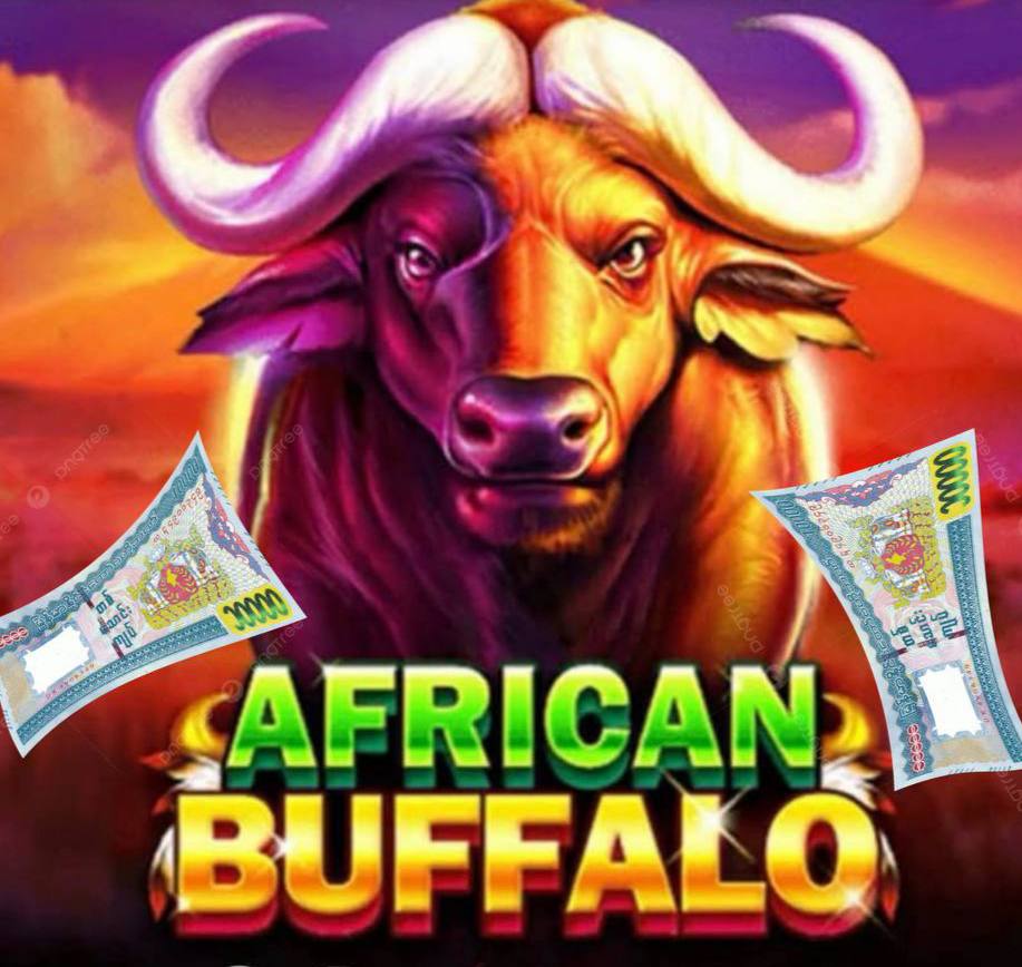 buffalo